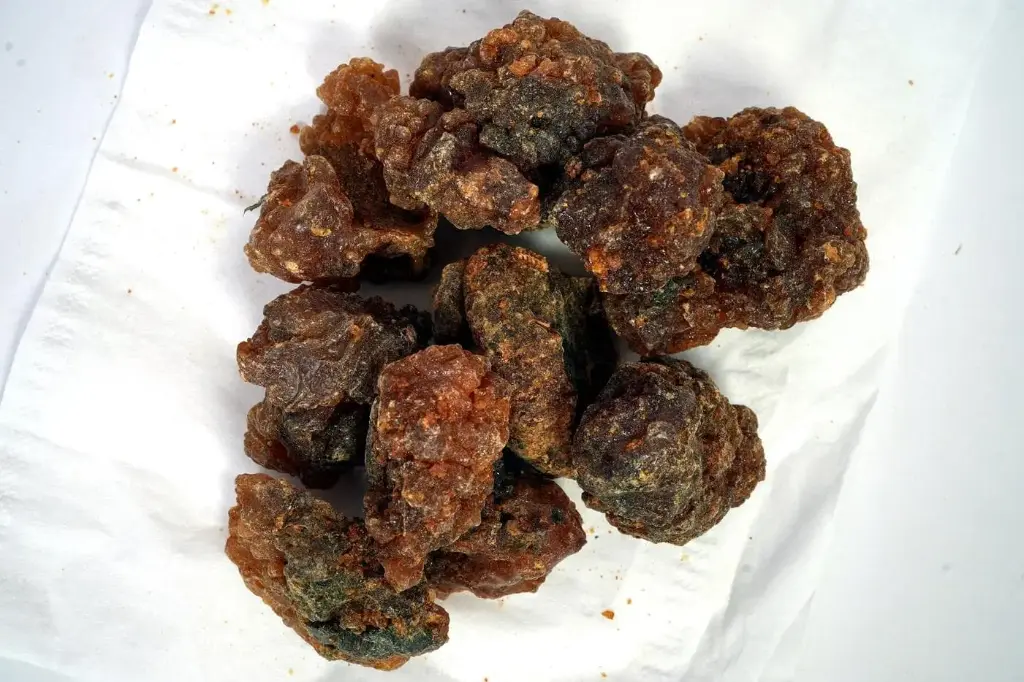 Beeyo Marbuush